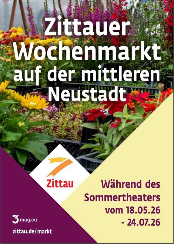 bunte Blumen in Kisten