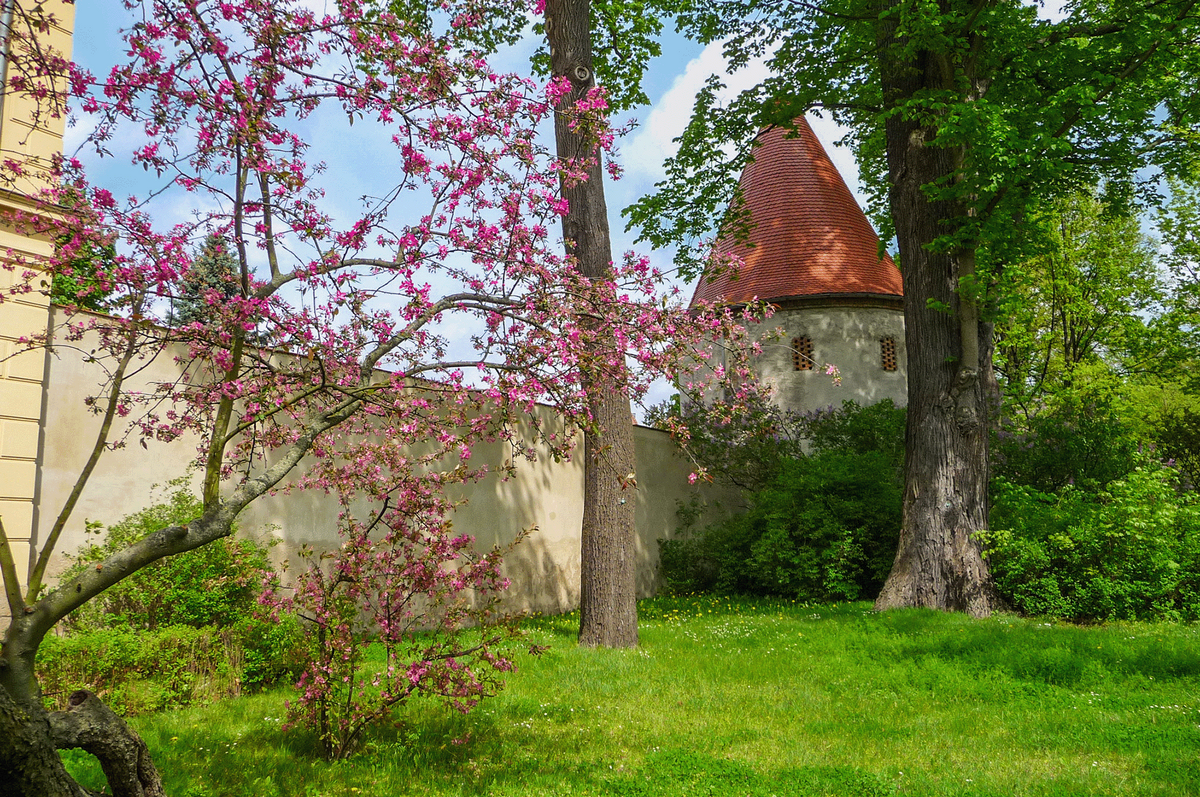 Quelle: Stadtverwaltung Zittau