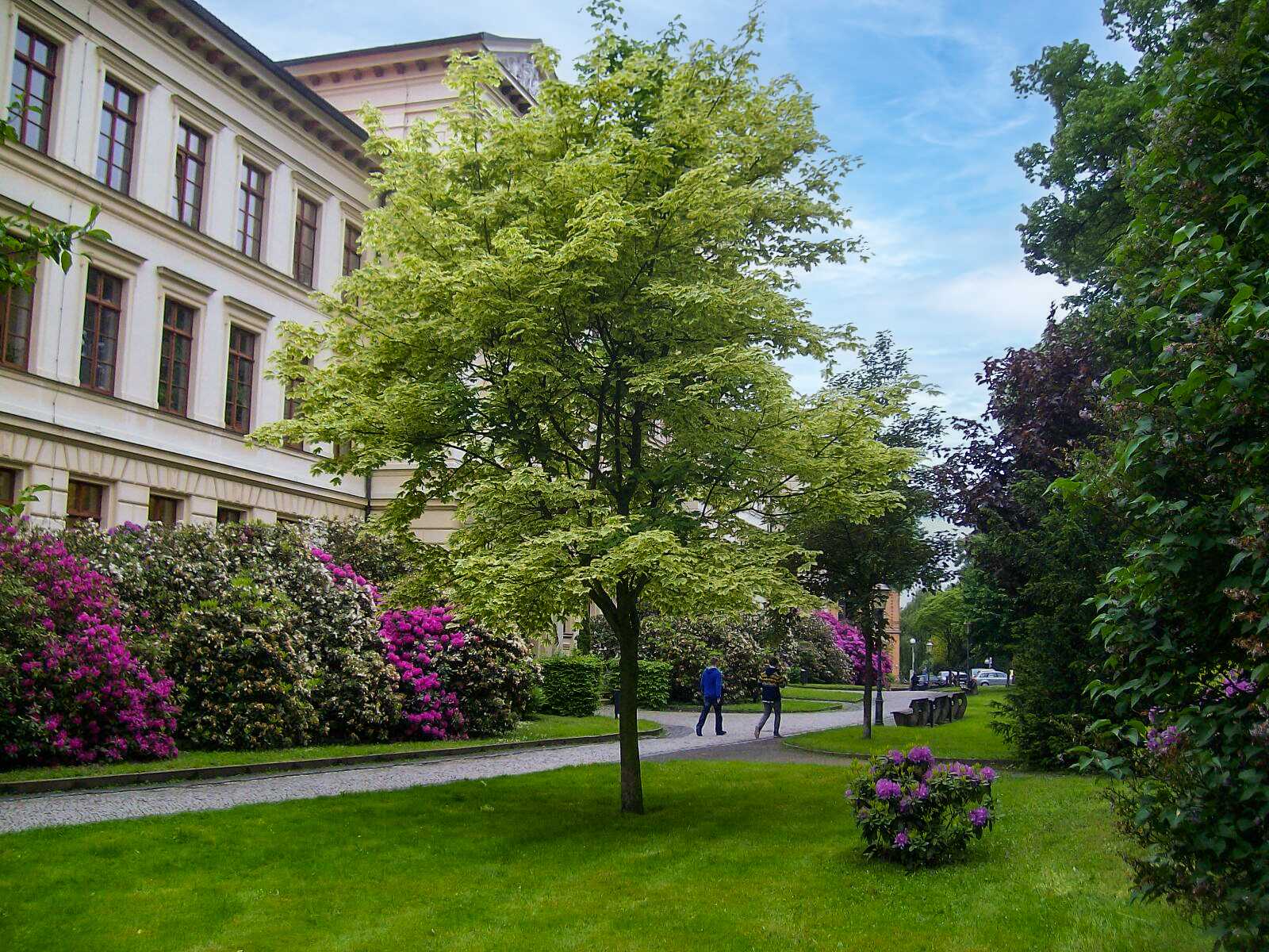 Quelle: Stadtverwaltung Zittau