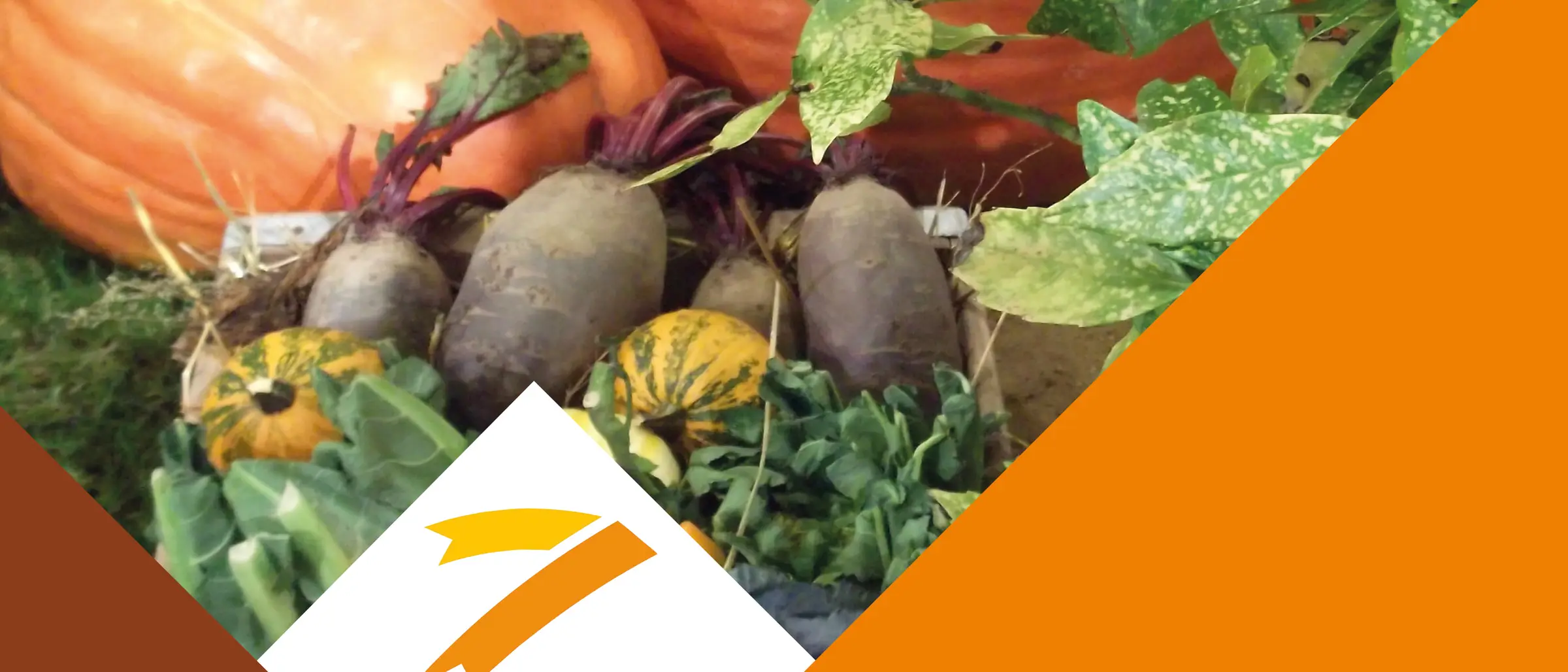 Zittauer Erntezauber am 18.10.2025