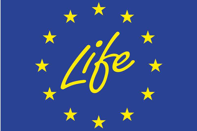 Life-EU Förderung in Zittau