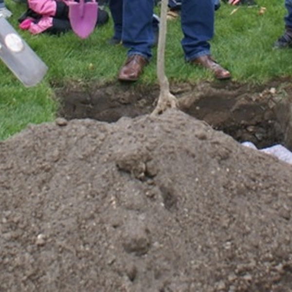 Einladung zur Frühjahrspflanzung