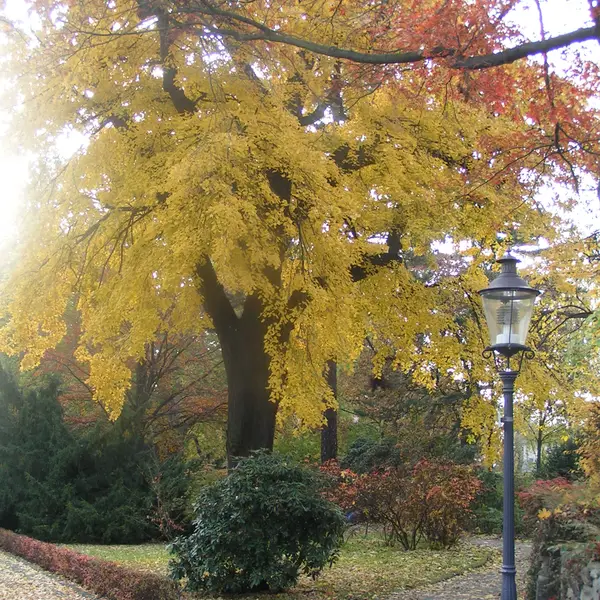 Foto: Dagmar Köhler