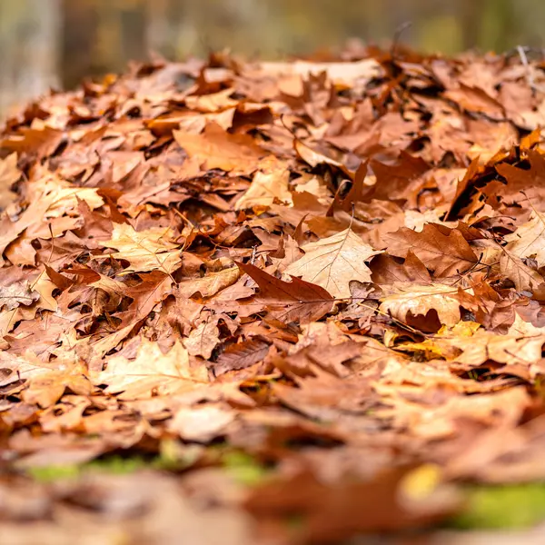 Quelle: pixabay.com (mariya_m)